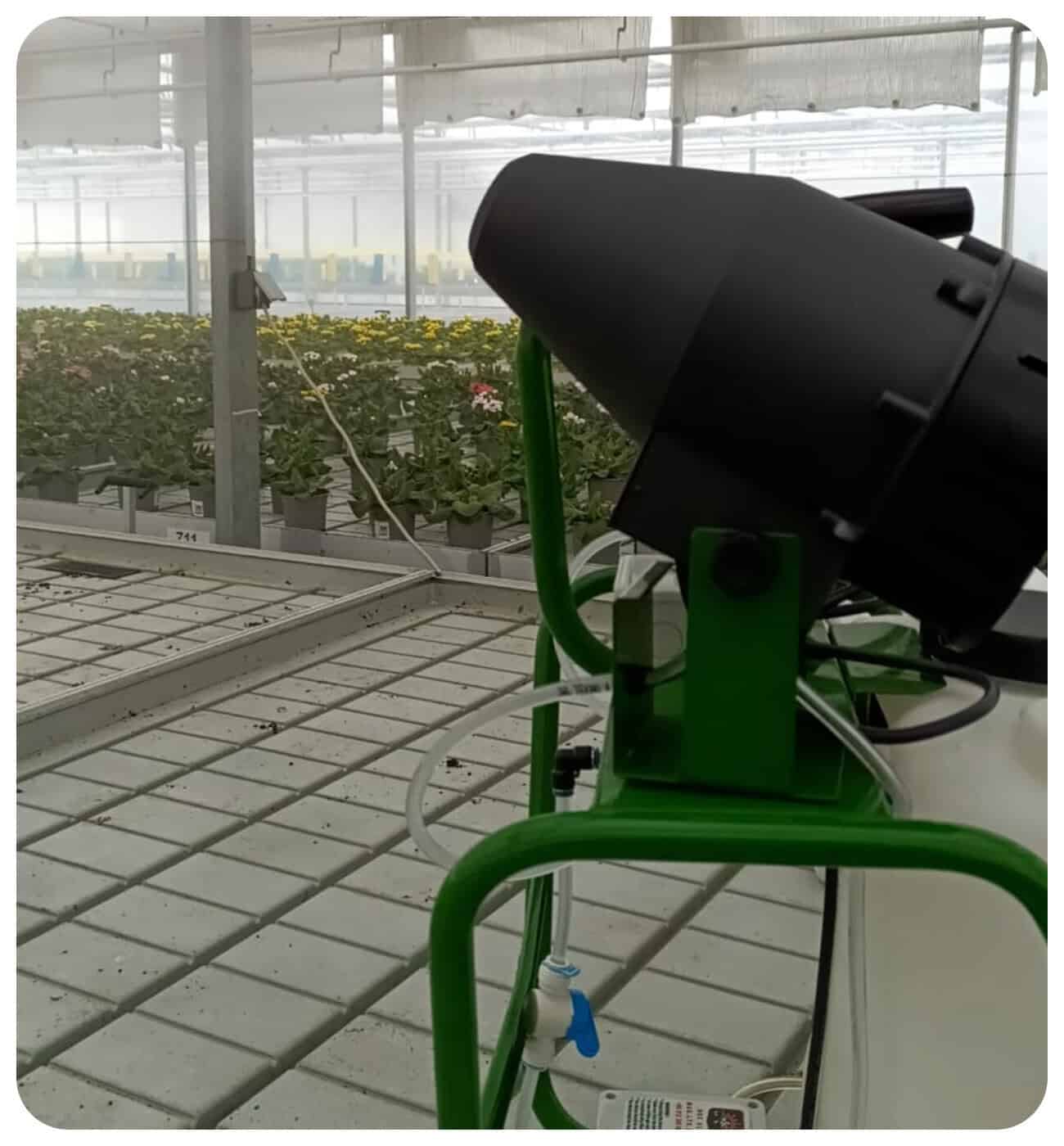 foto packshot w3 live 1300x1400 lpe v1.00